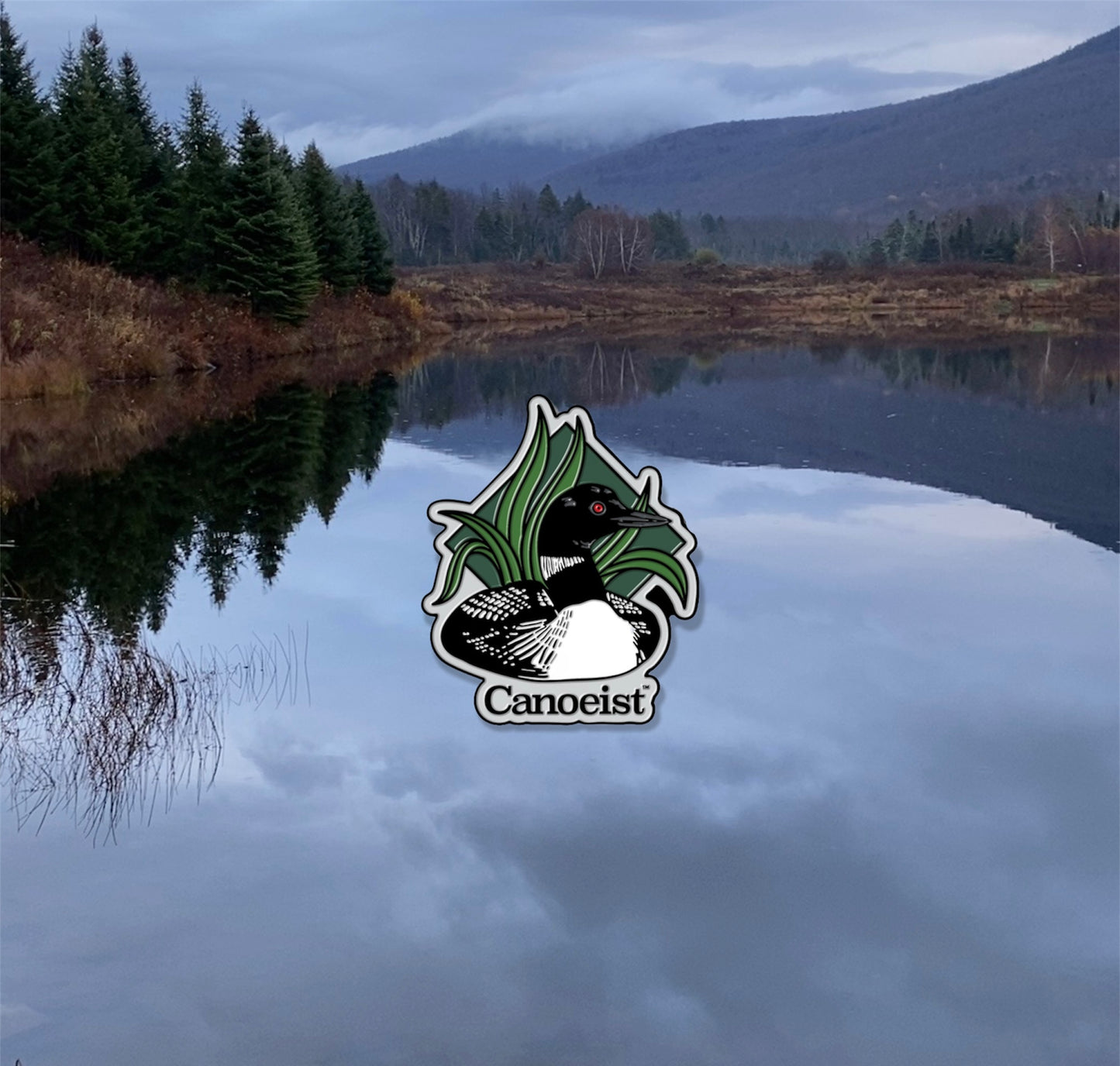 The LOON Enamel Pin.